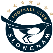城南FC队徽